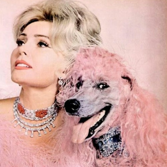 Meet your Posher, Harold & Harriet! - Picture 3 of 3